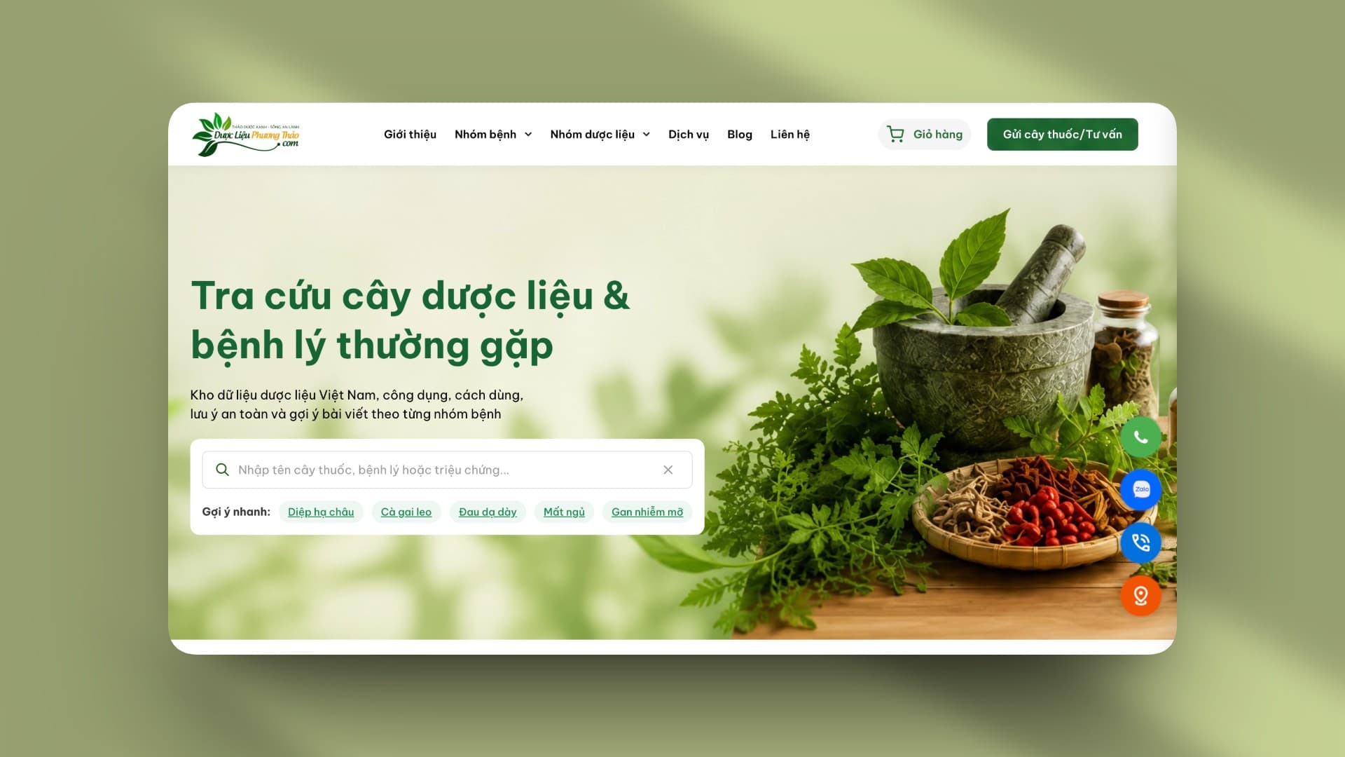 Phuong Thao Herbal